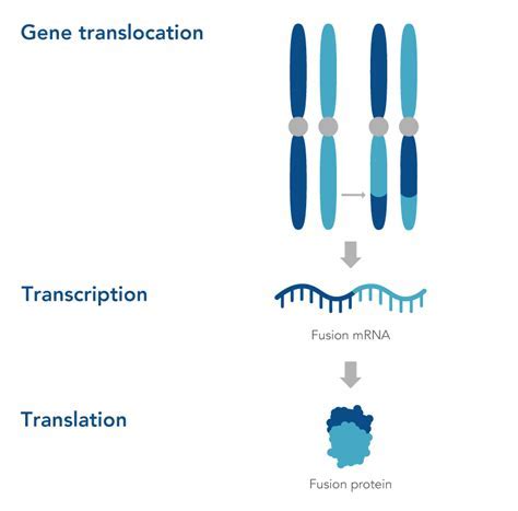 1 Unleash The Ultimate 5Step Guide To Genetic Fusion Judicial Data