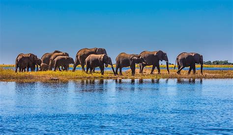 10 5 Facts About Botswana Stock Photos Pictures Royalty Free Images