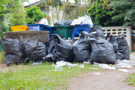 10 Council Rubbish Removal Tips: Essential Guide To Efficient Waste Management