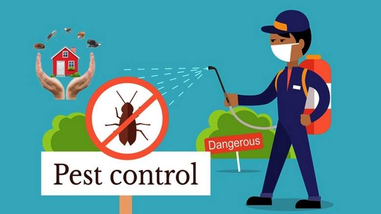 15 Organic Pest Control Tips You Have To Know To Keep Your Garden