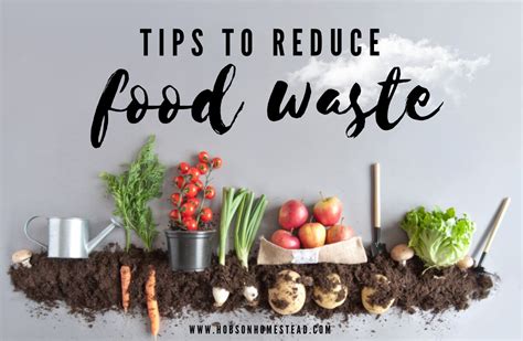 15 Tips To Reduce Food Waste The Hobson Homestead