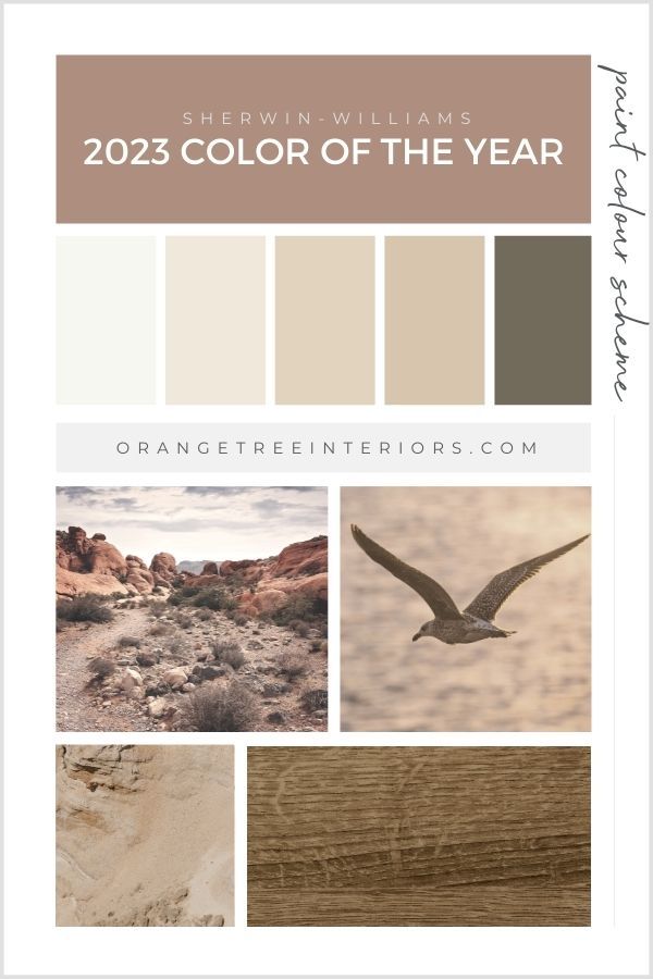 2023 Colour Of The Year Sherwin Williams Amp How To Use It In Your Home Trending Paint Colors