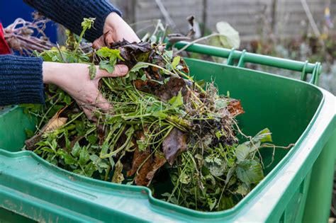 5 Expert Tips To Design Your Garden Waste Collection Today