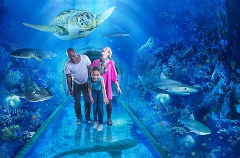 5 Pro Tips For Parking At Sea Life Birmingham Today