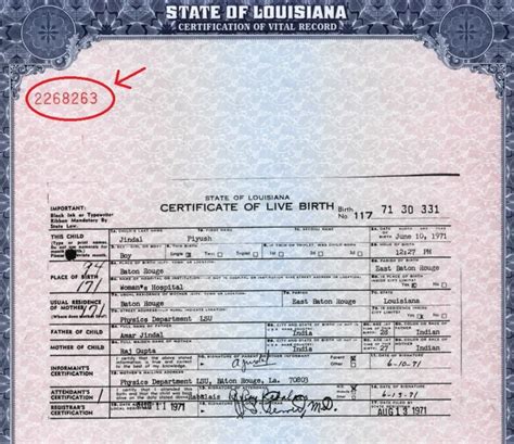 6 Steps To Create Your Birth Certificate Today