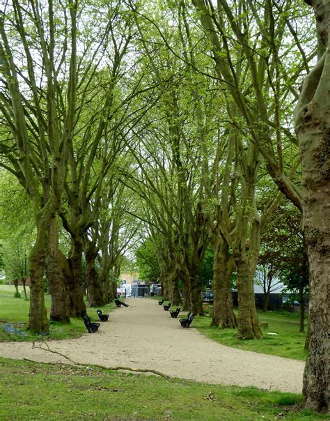 6 Ways To Design The Ultimate Highgate Park Birmingham Experience Today