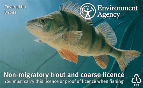 A Guide To Purchasing Renewing Fishing Licence Uk