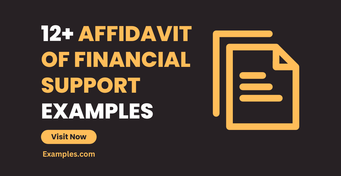 Affidavit Of Financial Support 12 Examples Format Pdf