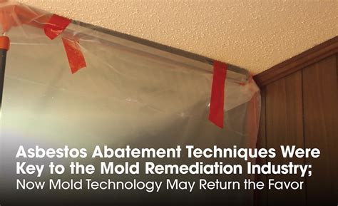 Asbestos Abatement Techniques Were Key To The Mold Remediation Industry