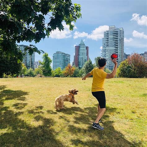 Best Dog Parks In Vancouver