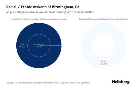 Birmingham Pa Population By Race Ethnicity 2023 Neilsberg