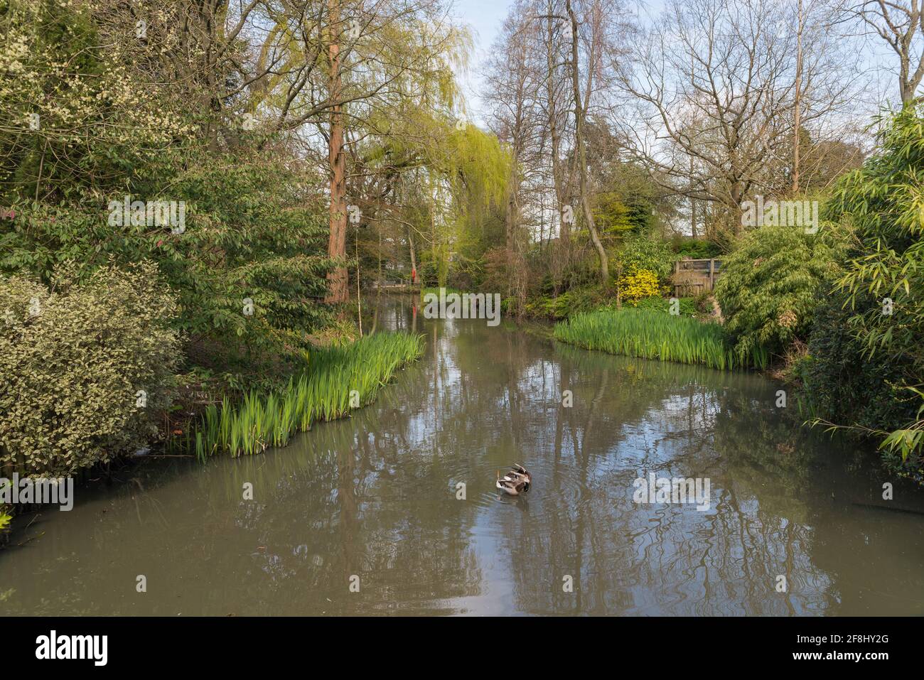 Birmingham Parks Friends Of Kings Heath Park