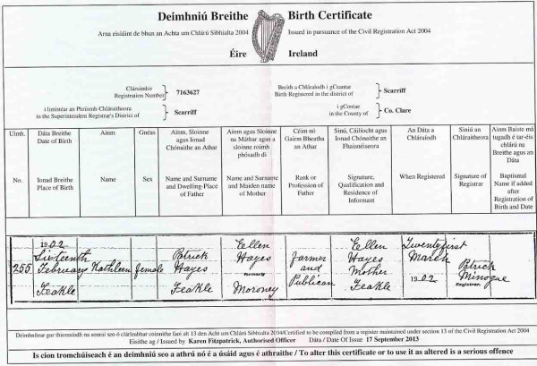 Birth Certificate Ireland Tutore Org Master Of Documents