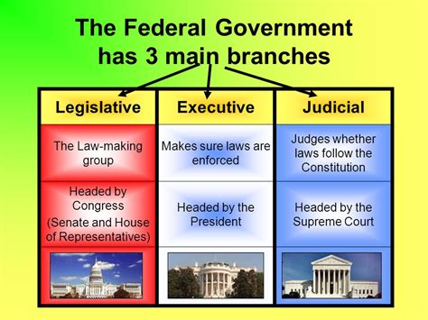 Branches Of Government Bing Images