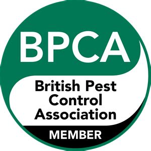 British Pest Control Association Logo Png Vector Pdf Free Download