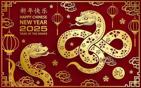 Chinese New Year 2025 Key Dates And Celebrations In Birmingham For Year Of The Snake