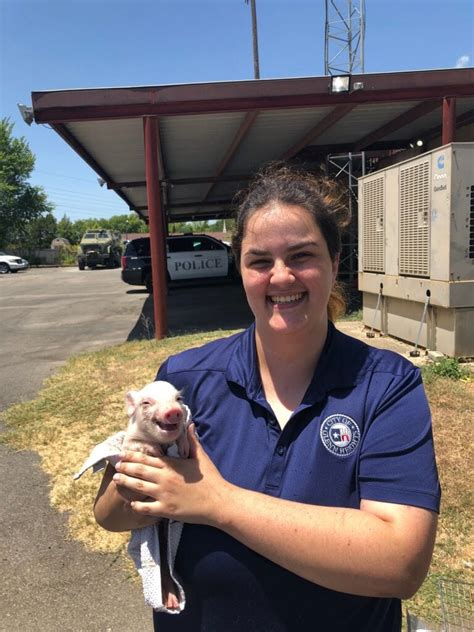 City Of Glenn Heights Animal Shelter Has Pigs Peacocks More