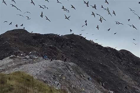 Clayton Hall Landfill Site Ordered To Reduce Height Of Waste Of Mound