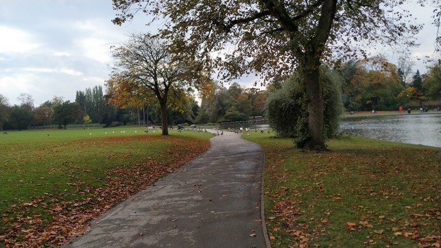 Coaster Trips Cannon Hill Park