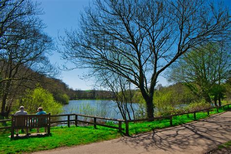 Country Parks Near Me Top Things To Do Dowtk