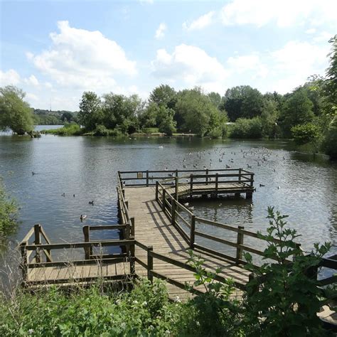 Daventry Country Park O Que Saber Antes De Ir Atualizado 2025