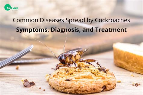 Diseases Caused By Cockroaches Symptoms Effects Treatment Prevention