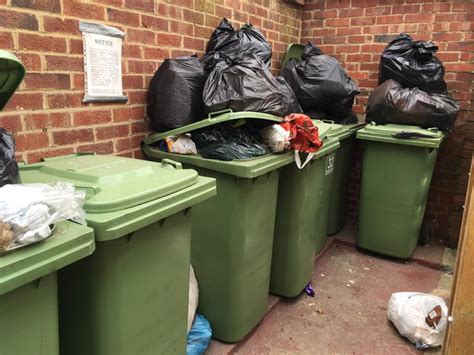 Elmbridge Waste Contractor Slammed For Thousands Of Missed Bin