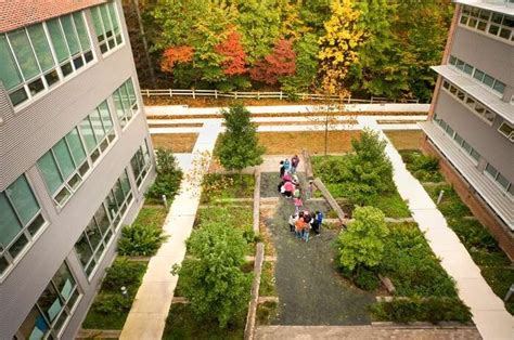 First Green School Opened Tehran Times