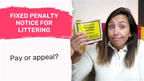 Fixed Penalty Notice Littering Appeal Pay Or Challenge