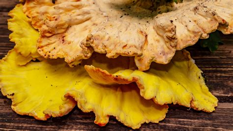 From Forest To Fork The Culinary Delight Of Chicken Of The Woods The