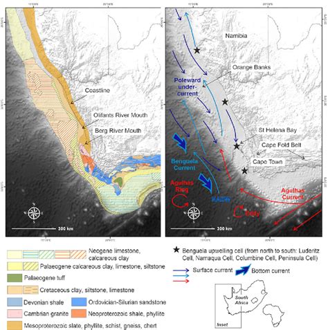 Frontiers Benthic Species Patterns In And Around The Cape Canyon A Large Submarine Canyon Off The Western Passive Margin Of South Africa