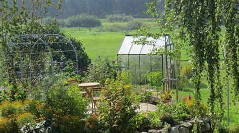 Get Your Own Allotment In The Uk A Step By Step Guide To Securing Your