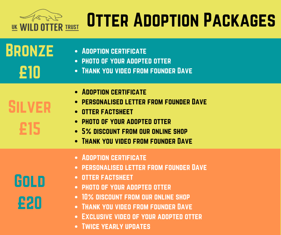 Gold Otter Adoption Uk Wild Otter Trust