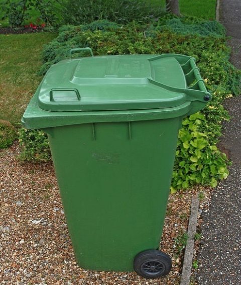 Have Your Say About The Future Of The Garden Waste Collection Service