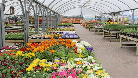 Horsham Garden Centre And Farm Shop Hillier Garden Centres