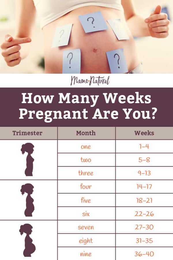 How Many Weeks Are You Now