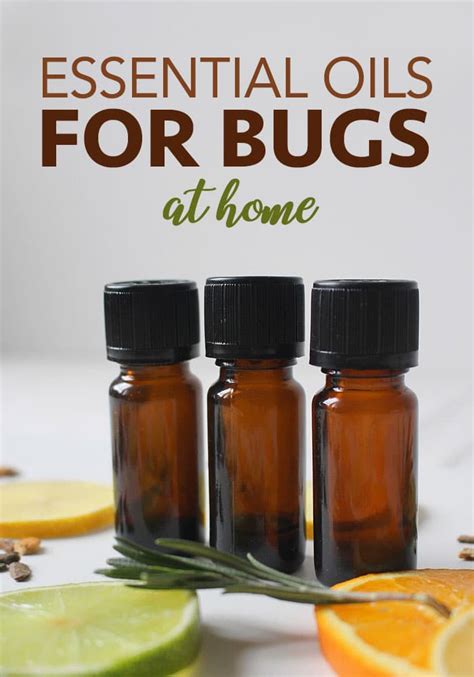 How To Use Essential Oils For Pest Control Essential Oils For Fleas