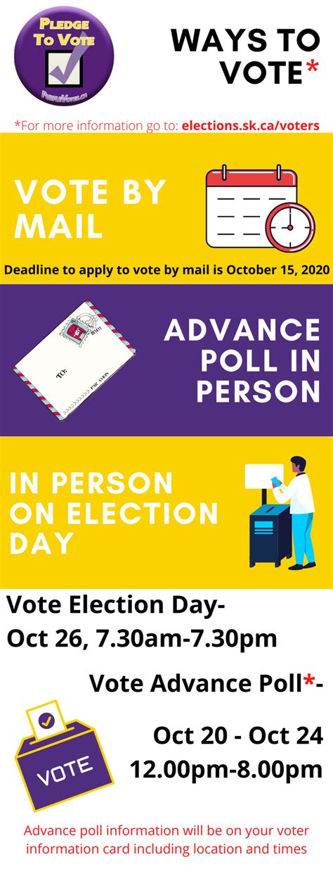 Infographic Ways To Vote