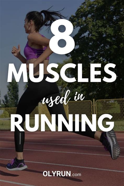 Key Muscles Used In Running 5 Main Muscle Groups Ultimate Guide