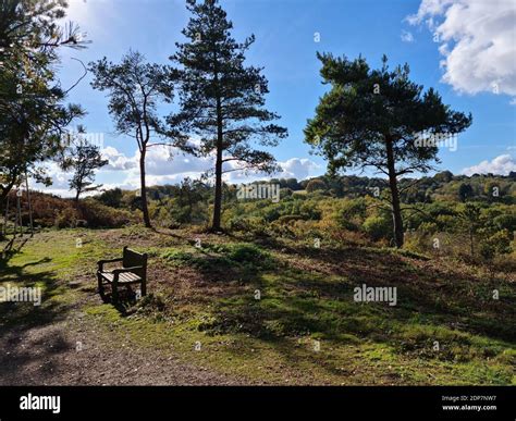 Lickey Hills Country Park Lickey Stock Photo Alamy