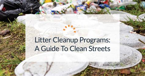 Litter Cleanup Tips And Solutions Dumpsters Com