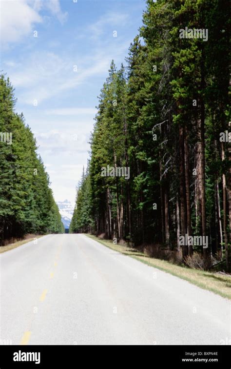 Open Road In Bow Valley Parkway Stock Photo Alamy