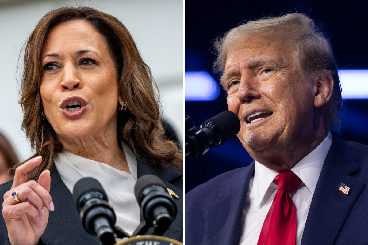 Polls Show Harris Trump In Close Race Ahead Of Election Day 2024