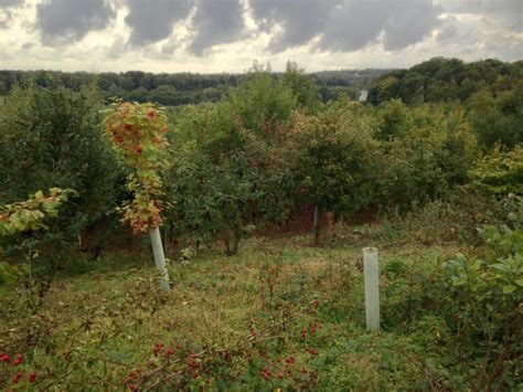 Queen's Hills Country Park