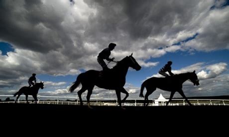 Racehorses Pulling Up On The Esher Course At Sandown Horse Racing