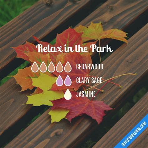 Relax In The Park Diffuserblends Com