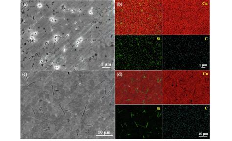 Sem Images Of Pre Pressed Sicps A And Sicws C After Download