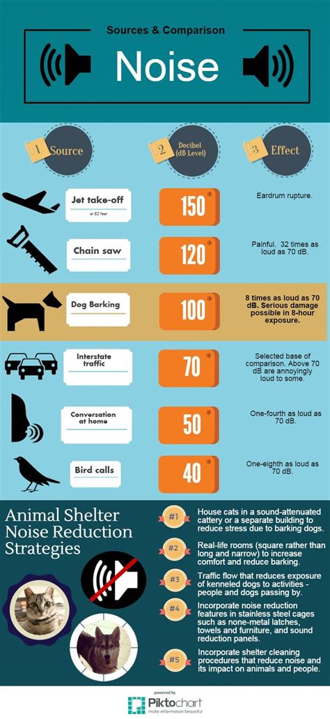 Sources 1 Www Industrialnoisecontrol Com Modified Accessed March 5 2015 2 Dog Noise