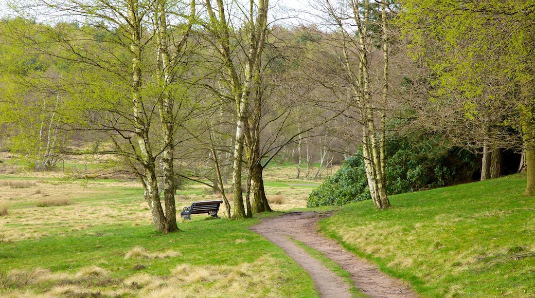 Sutton Park In Birmingham England Expedia