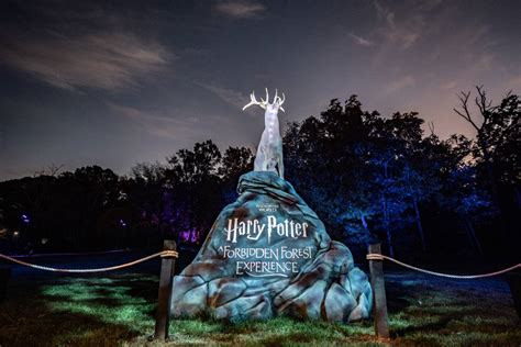 Texas Amp 39 Harry Potter Forbidden Forest Experience Is Closing Soon